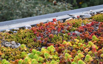 the cost of Tisbury green roof installation